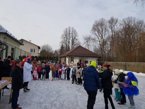 KARNEVAL NA ĽADE - 2019