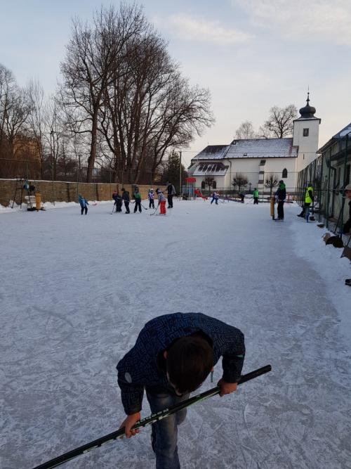 KARNEVAL NA ĽADE - 2019